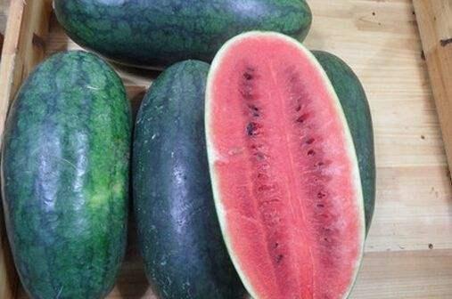 山东网红吃烧瓜视频,火辣滋味引发网友热议 第3张 山东网红吃烧瓜视频,火辣滋味引发网友热议 第3张