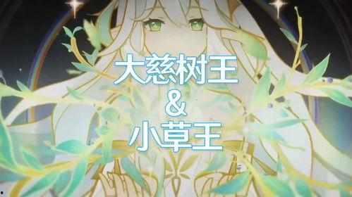 大慈树王爆料视频大全,揭秘神秘事件背后的真相 第2张 大慈树王爆料视频大全,揭秘神秘事件背后的真相 第2张